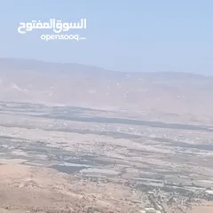  2 مزرعه للبيع في الصبيحي مطله على فلسطين