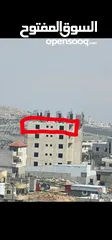  1 محمود طقاطقة