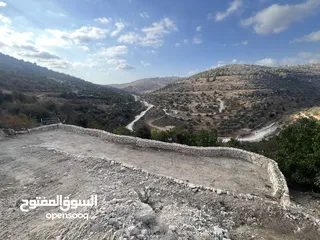 7 عجول قطعة ارض مساحتها 811 متر كوشان طابو مستقل سلطة أ تنازل فوري