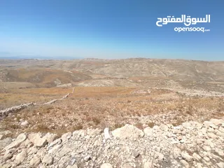  12 مادبا ماعين قطعة أرض زراعية مميزة مطلة على البحر الميت والضفة الغربية بمساحة 21 دونم