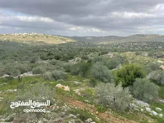  3 منزل قيد الإنشاء جاهز منه غرفة وحمام وبرندة على قطعة ارض 3250 متر فيه بئر ماء مخدوم ماء وكهرباء