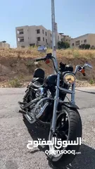  6 Harley Davidson 2012 XL883L