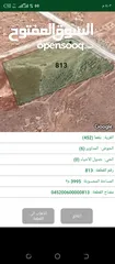  4 اراضي للبيع بعيد عن عمان 65 كيلو محافظه المفرق