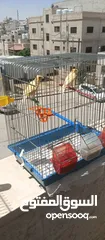  6 كنارات طواير عدد 2 للبيع