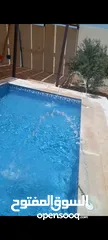  19 بناء مسابح بنظام سكيمر