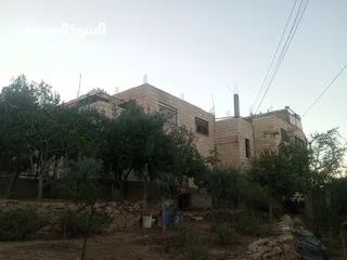  8 عمارة للبيع