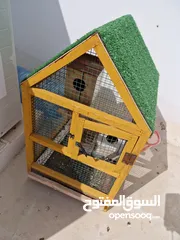 1 Bird cage used for days