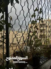  3 شقة في جبل الزهور للبيع