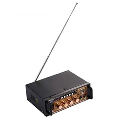  2 مضخم صوت / مكبر صوت / امبلفير  Amplifiers Audio