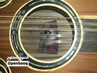  5 عود مصري للبيع