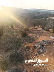  6 مكتب  زمزم للتسويق العقاري
