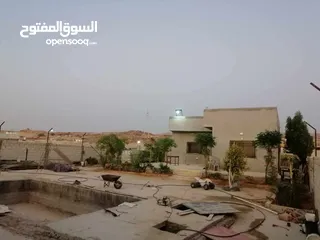  19 مزرعه شالية في منطقه سويمة قرب بحر الميت