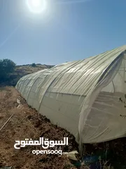  7 بيت بلاستيك