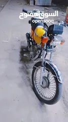  1 دراجة ارشا للبيع