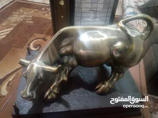  1 منظر ثور للبيع