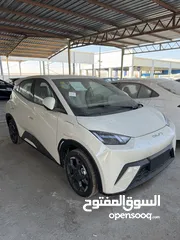  3 اقل سعر دفعه واقساط Byd سيجال 2024 شكل 2025