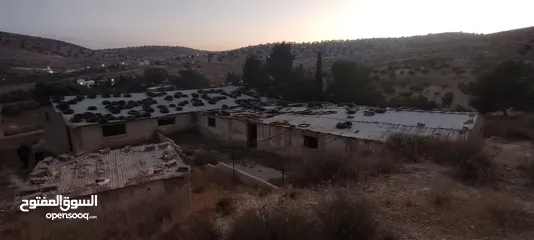  5 ارض مشترك محدد للبيع بسعر مغري