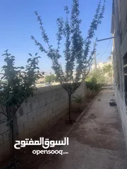  10 بيت مستقل للبيع ابوعلندا منطقة الرقيم