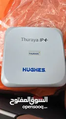  1 Thoraya Hughes ip+