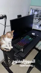  2 PC Gaming______