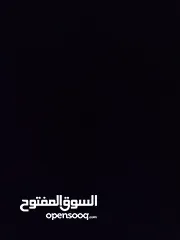  7 حساب بلوكس فروت للبيع  لفل 550  فواكه نادرة  فلوس 2,500,000  توزيع ممتاز  قابل للتفاوض