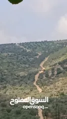  6 ارض للبيع بسعر مغري في ياصيد