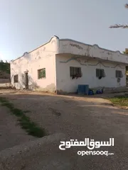  1 منزل للبيع