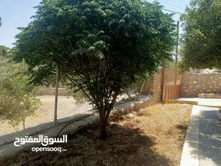  17 منزل دوبلكس للبيع مع مزرعه  شجر مزروع مثمرعدد 25 و شجر زينه 25 كرفان 70م يحتوي على مطبخ حمام وصاله