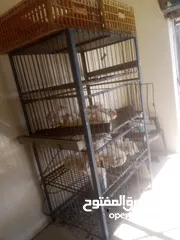  1 عدة محل جاج