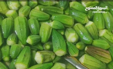  2 تفريز طعام