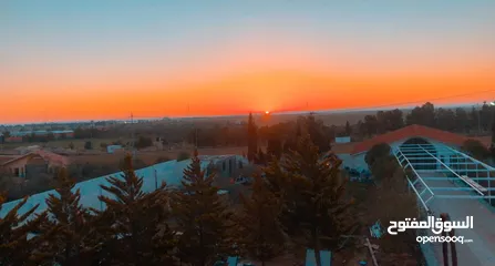  12 مزرعة و ڤيلا ريڤيرا ام العمد طريق المطار- Rivera Resort Farm