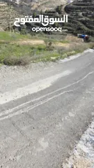  8 قطعة نص دونم دورا