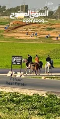  1 قطعة أرض سكنية مميزة في أجمل مناطق جنوب عمان / جلول
