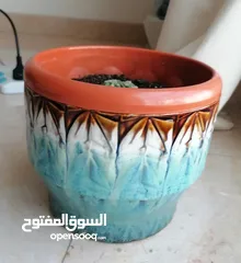  3 Flower pots, different designs