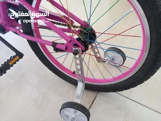  2 بسكليت صيني نخب اول (للبيع)