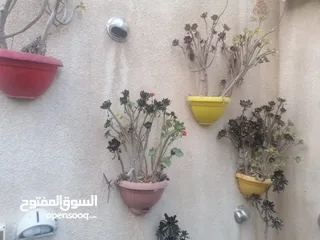  3 كوارات زرع بسعر مغري