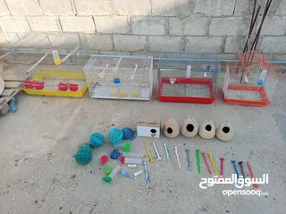  1 اقفاس عصافير مع أغراض عشوش فخارات اصابع مشارب أقرأ الوصف