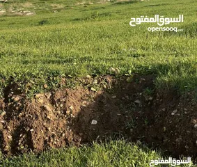  4 ارض عنيبه جرش اطلاله روعه و 3500 متر مربع 55الف كامل  القطعه قابل للتفاوض (مدخل خاص)