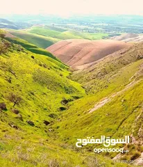 1 10 دونم شفا غوري من المالك