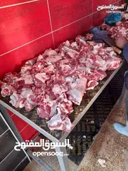  1 خرفان روماني