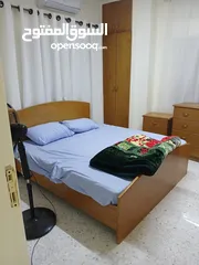  10 شقة مفروشة للايجار شهري