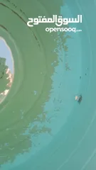  3 الصفوه لخدمات جلى الرخام والتلميع بكرستال وتنظيف الكنب والسجاد ورش الحشرات والتعقيم وتنظيف الفلل