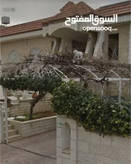  13 فيلا فاخرة للبيع في الجبيهة – مساحة 870 م2 – بدون وسيط