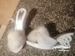  6 اي شنطه فقط 10 دنانير وعندي كمان كندره العروسه جديد بسعر مغري