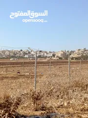  6 ارض للبيع اربد حكما حوض المنظار