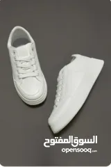  10 البيع بالجملة فقط