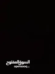  2 مطلوب طائر هدهد للشراء