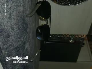  16 نظاره randolph