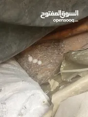  14 (للبيع،،للبدل )حمام نظيف متعوب عليه اقرأ الوصف