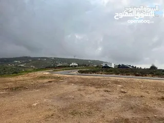  2 قطعة ارض للبيع في أجمل مناطق بيرين ( اعلى قمة )  فرصة العُمر في مشروعنا في بيرين